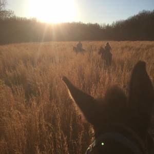 Meet your Posher, Kayla